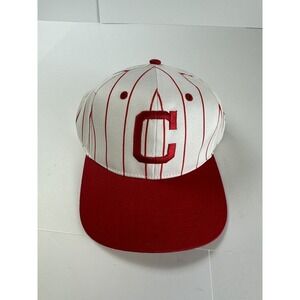 NWT Pittsburgh Crawfords Negro League Baseball Cap Hat Highmark Big Boy Gear NEW